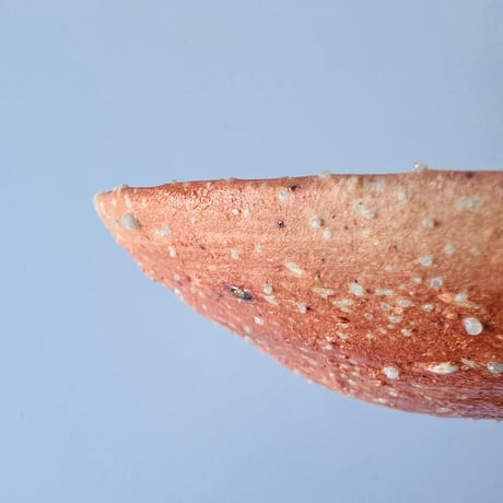 Tー99 辻村史朗　信楽小皿　　Shiro Tsujimura Shigaraki Small Plate