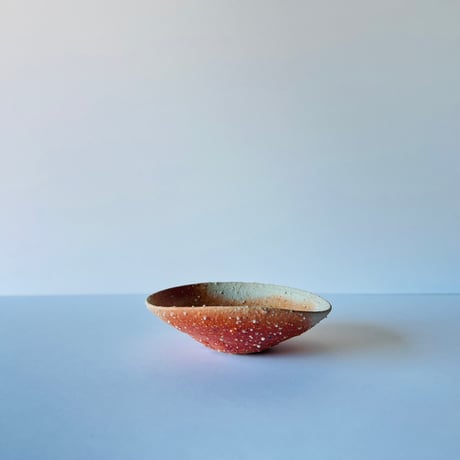 Tー99 辻村史朗　信楽小皿　　Shiro Tsujimura Shigaraki Small Plate