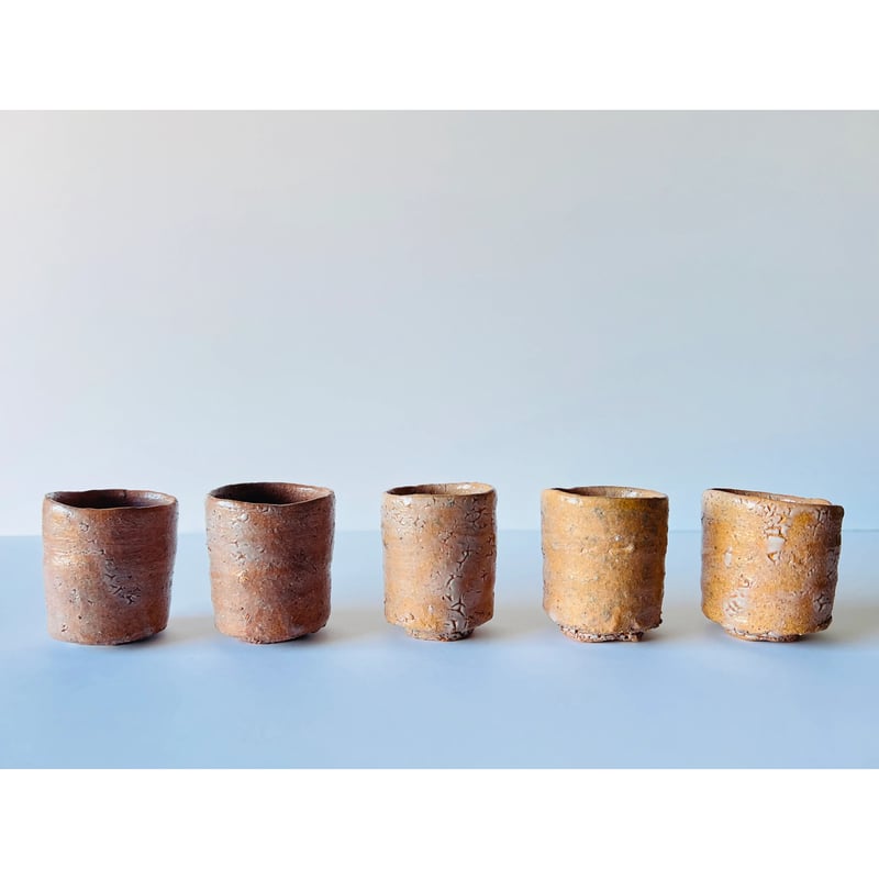 Tー97 辻村史朗 井戸向付 ぐい呑 五客組 Shiro Tsujimura Set of F