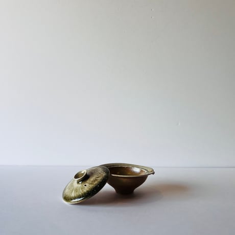 Jー1＃2 ジョナサンスティール　信楽宝瓶　名入り共箱付  Jonathan Steele Shigaraki Hōhin (Shigaraki Clay Teapot /)