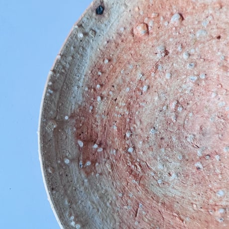 Tー99 辻村史朗　信楽小皿　　Shiro Tsujimura Shigaraki Small Plate
