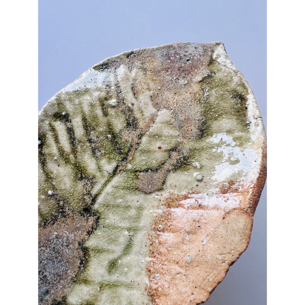 T−112 辻村史朗 伊賀葉皿 共箱有 Shiro Tsujimura Iga Leaf Pl
