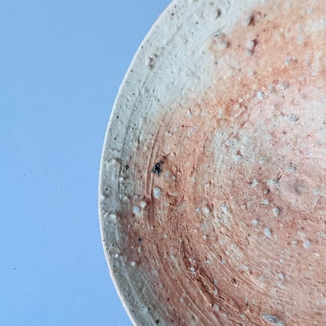 Tー99 辻村史朗　信楽小皿　　Shiro Tsujimura Shigaraki Small Plate