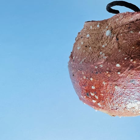 Tｰ54 辻村史朗　信楽蹲掛花入　共箱有　Shiro Tsujimura Shigaraki Uzukumaru hanging vase