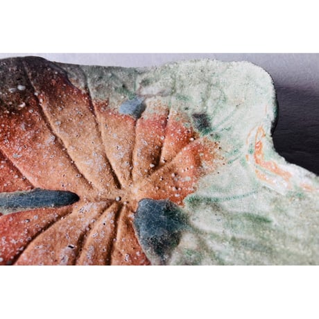 Tー116　辻村史朗　伊賀葉皿大　共箱付　Shiro Tsujimura Large Leaf-Shaped Plate
