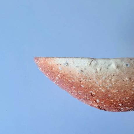 Tー99 辻村史朗　信楽小皿　　Shiro Tsujimura Shigaraki Small Plate