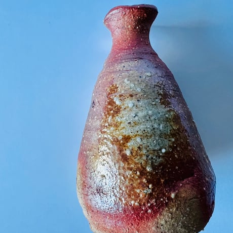 T−6 辻村史朗　信楽徳利　T-6 Shiro Tsujimura Shigaraki Sake Bottle