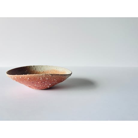 Tー99 辻村史朗　信楽小皿　　Shiro Tsujimura Shigaraki Small Plate