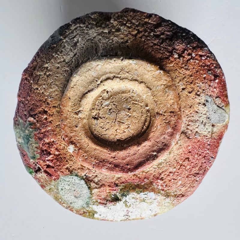 F-18 古谷和也 信楽茶碗 Kazuya Furuya Shigaraki tea bowl