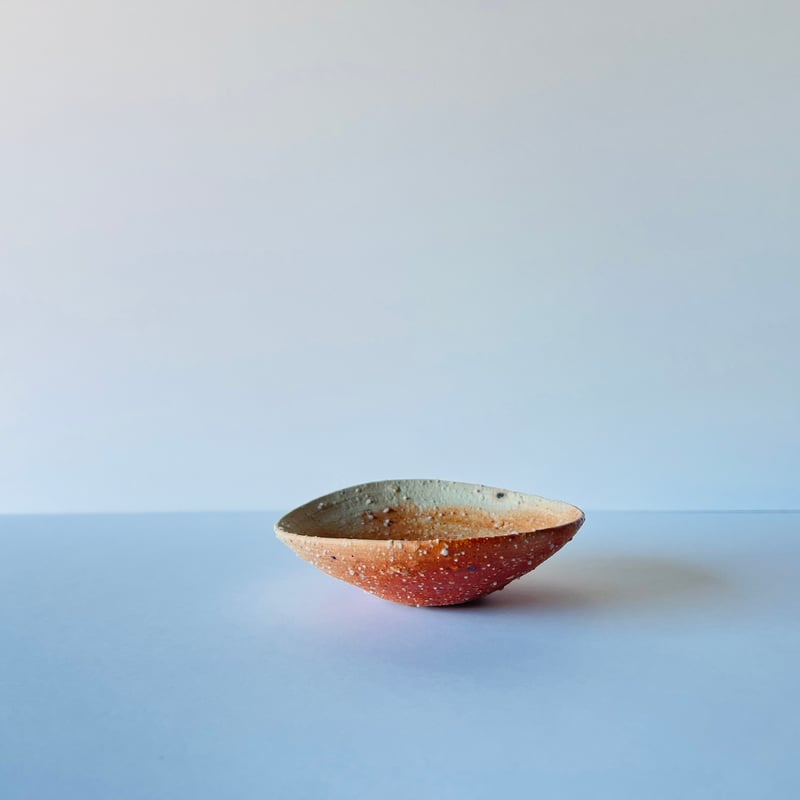 Tー99 辻村史朗 信楽小皿 Shiro Tsujimura Shigaraki Small