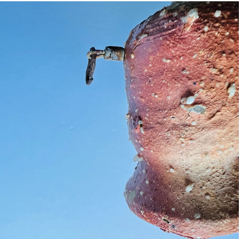 Tｰ58 辻村史朗 信楽一輪挿掛花入 Shiro Tsujimura Shigaraki Fl