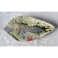 T−117 辻村史朗　伊賀葉皿　共箱付　Shiro Tsujimura Leaf-Shaped Plate