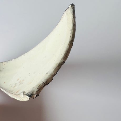 T−121 辻村史朗　粉吹三角皿大　共箱付　Shiro Tsujimura Large Kofuki Triangular Plate