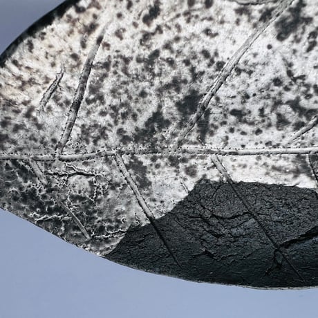 TNー40 谷井直人　銀彩葉皿　Naoto Tanii Silver-colored leaf plate