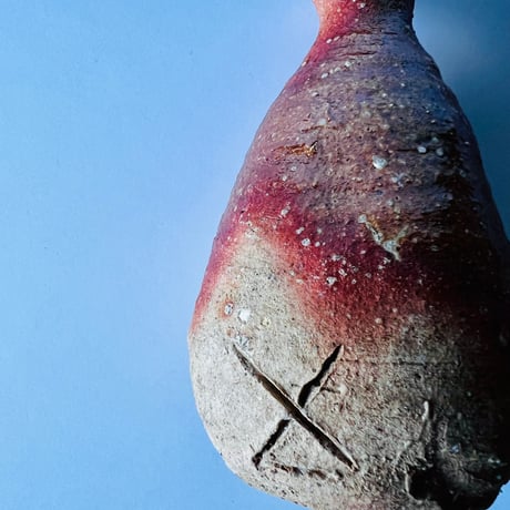 T−6 辻村史朗　信楽徳利　T-6 Shiro Tsujimura Shigaraki Sake Bottle