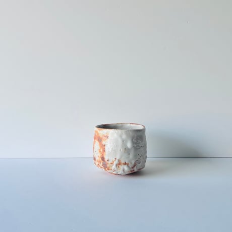 T-73 辻村史朗　志野茶碗　共箱有　Shiro Tsujimura Shino tea bowl