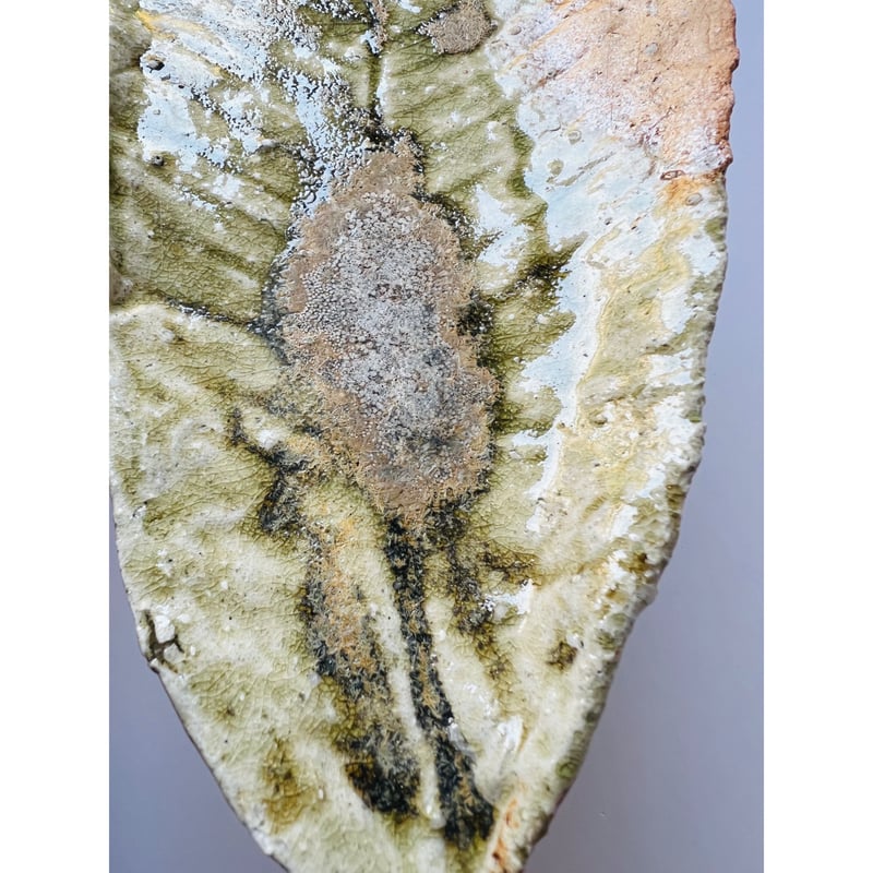 辻村史朗　伊賀　大皿 T−112 辻村史朗 伊賀葉皿 共箱有 Shiro Tsujimura Iga Leaf Pl