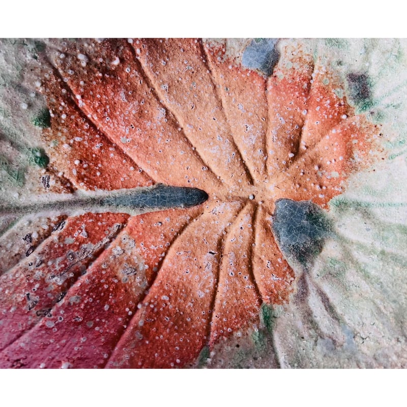 Tー116 辻村史朗 伊賀葉皿大 共箱付 Shiro Tsujimura Large Leaf