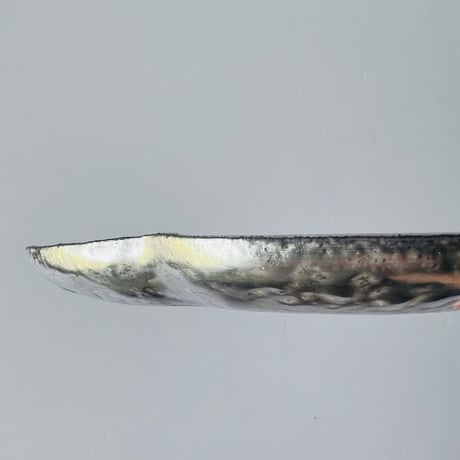TN−115 谷井直人　総銀彩木瓜小皿 Full Silver Glaze Mokko Plate