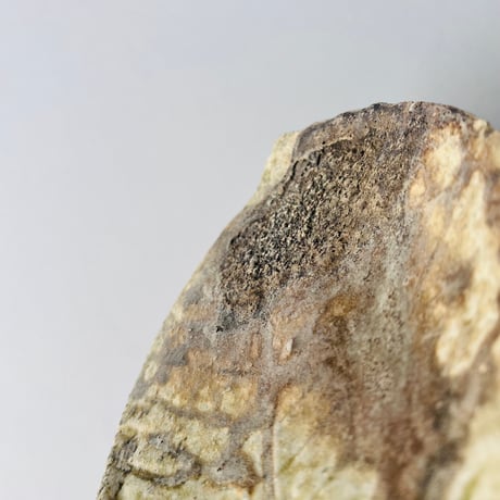 T−118 辻村史朗　伊賀葉皿　共箱付　Shiro Tsujimura Leaf-Shaped Plate