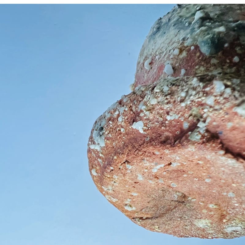 Tｰ58 辻村史朗 信楽一輪挿掛花入 Shiro Tsujimura Shigaraki Fl