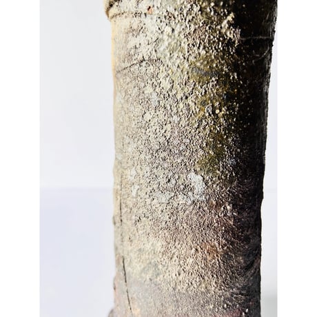 T-69 辻村史朗　備前花入　Shiro Tsujimura Bizen flower vase