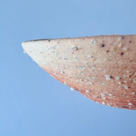 Tー99 辻村史朗　信楽小皿　　Shiro Tsujimura Shigaraki Small Plate