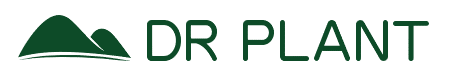 DR PLANT STORES 店