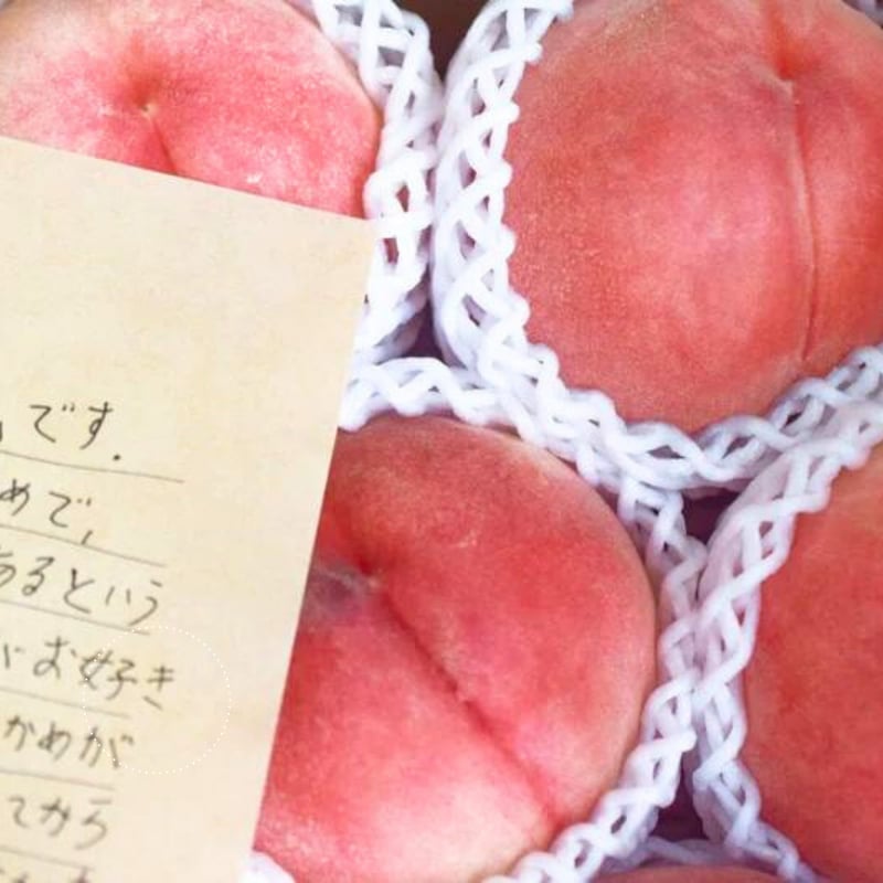 2025年予約販売〉【農家より直送】桃2kgまたは3kg | FOUNDING SELECTION