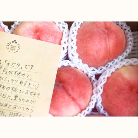 【国見町】桃の木オーナー制度2025／ベーシックプラン（1品種）又は食べ比べプラン※2025年7月下旬〜9月中旬発送