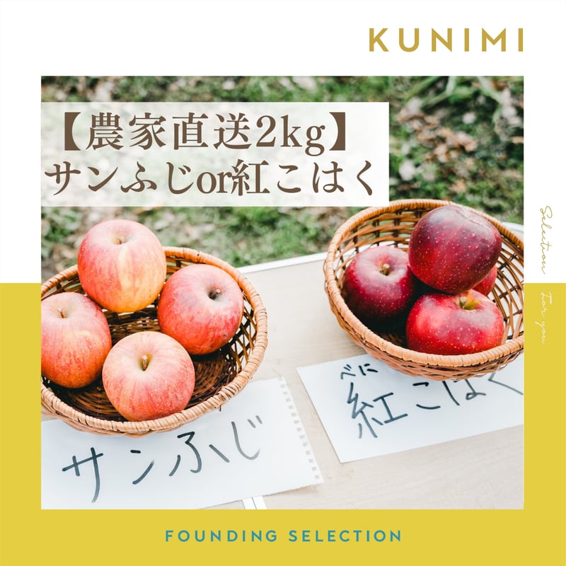 あっこページ　サンふじ　家庭用　農家直送 品種が選べる！〉【農家直送】サンふじor紅こはく2kg | FOUNDING SELECTION