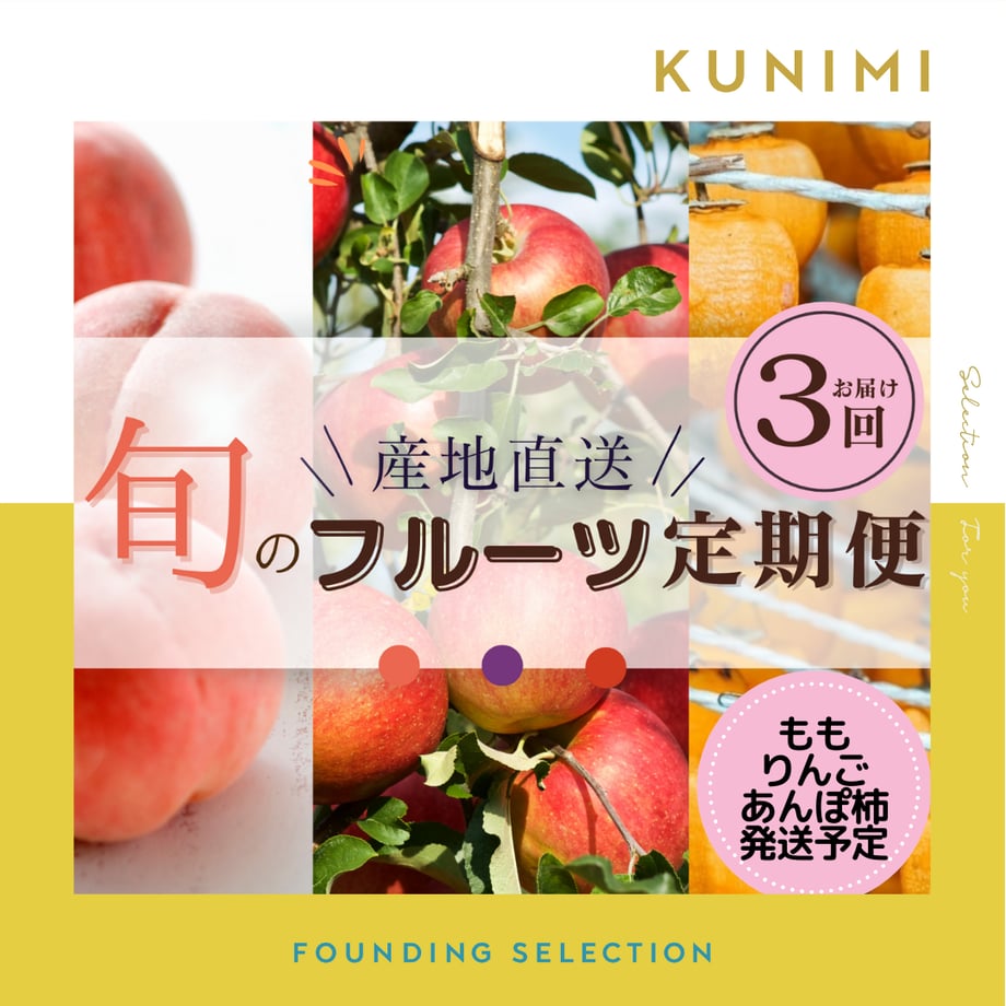 67667b8509d6301a0a2c94d9