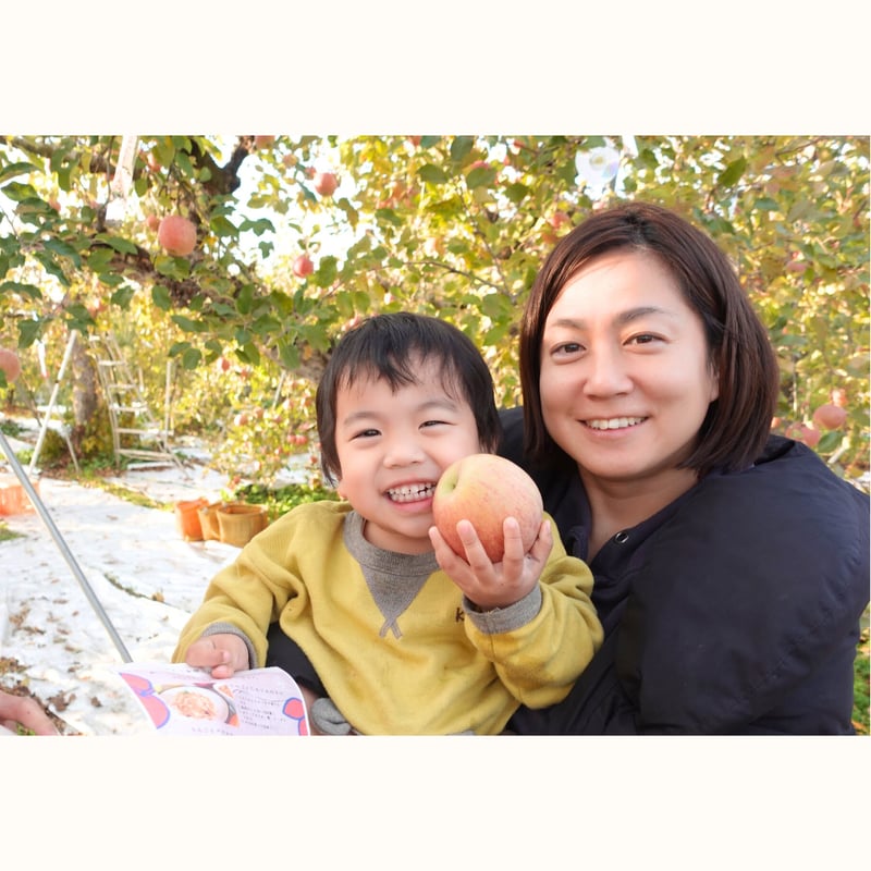 国見町】りんごの木オーナー制度2025※2025年11月下旬〜12月下旬発送