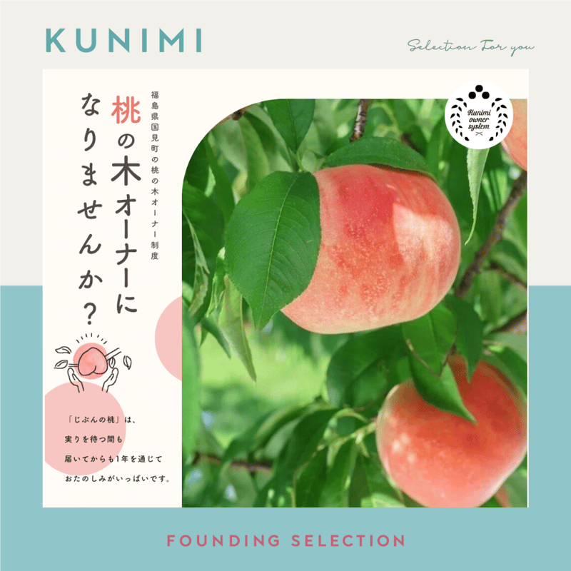 国見町】桃の木オーナー制度2025／ベーシックプラン（1品種）又は食べ