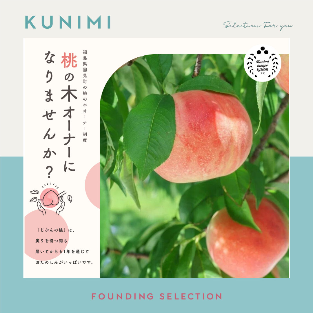 国見町】桃の木オーナー制度2025／ベーシックプラン（1品種）又は食べ
