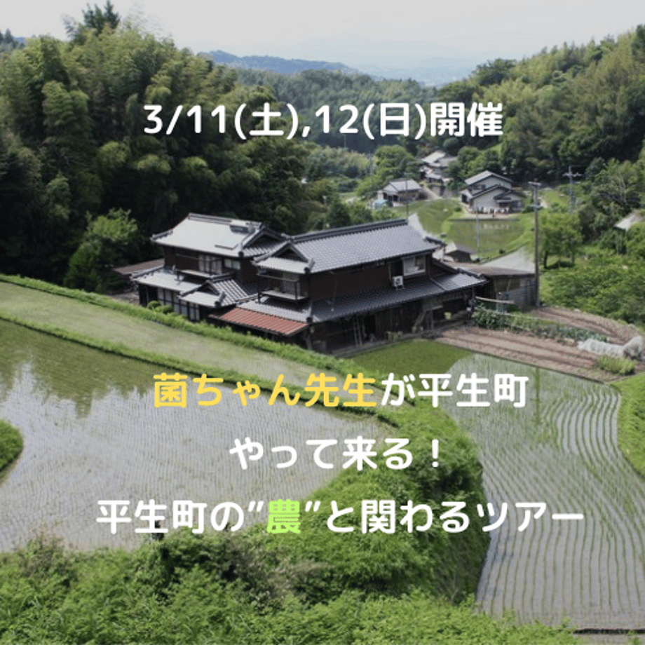 63f8096534e017198afe2201
