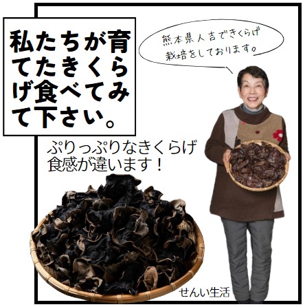 4袋 x S20g 乾燥きくらげ きく若丸 お徳 (熊本県・人吉産) | せんい