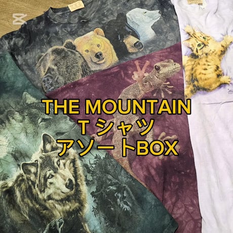 【アニマルといえばこれ！】THE MOUNTAINTシャツアソート 10点