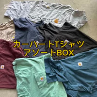 【カラーバリエーション豊富】カーハートTシャツ 10点