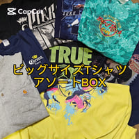 【リメイクにもおすすめ】ビッグサイズTシャツアソートBOX 10点