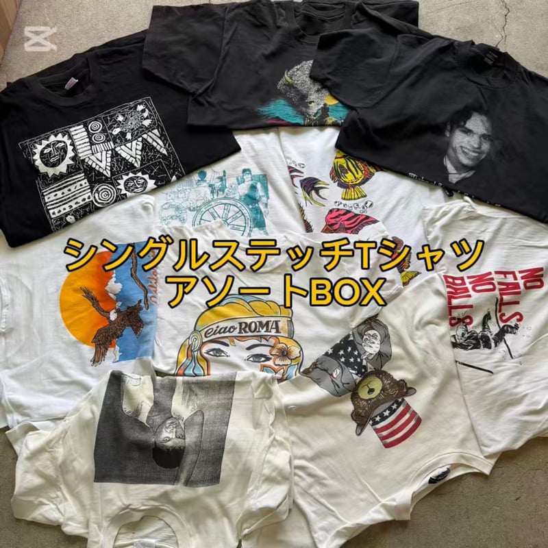 価格高騰中】シングルステッチTシャツアソートBOX 10点 | JETRAG卸
