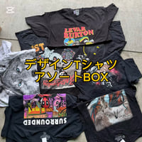 【実店舗・無人古着屋向け】デザインTシャツアソートBOX 10点