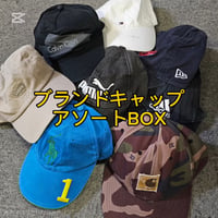 【問い合わせ多数】ブランドCAP アソートBOX 10点