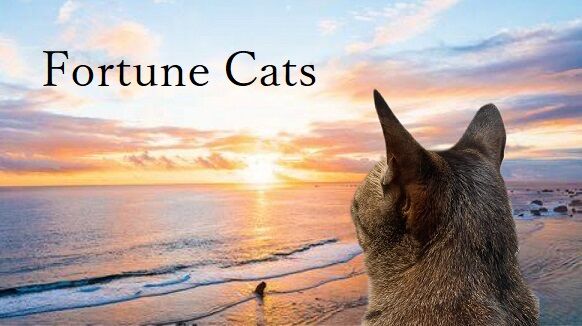Fortune Cats