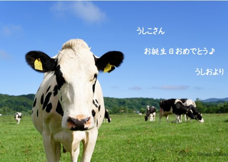 メッセージカード