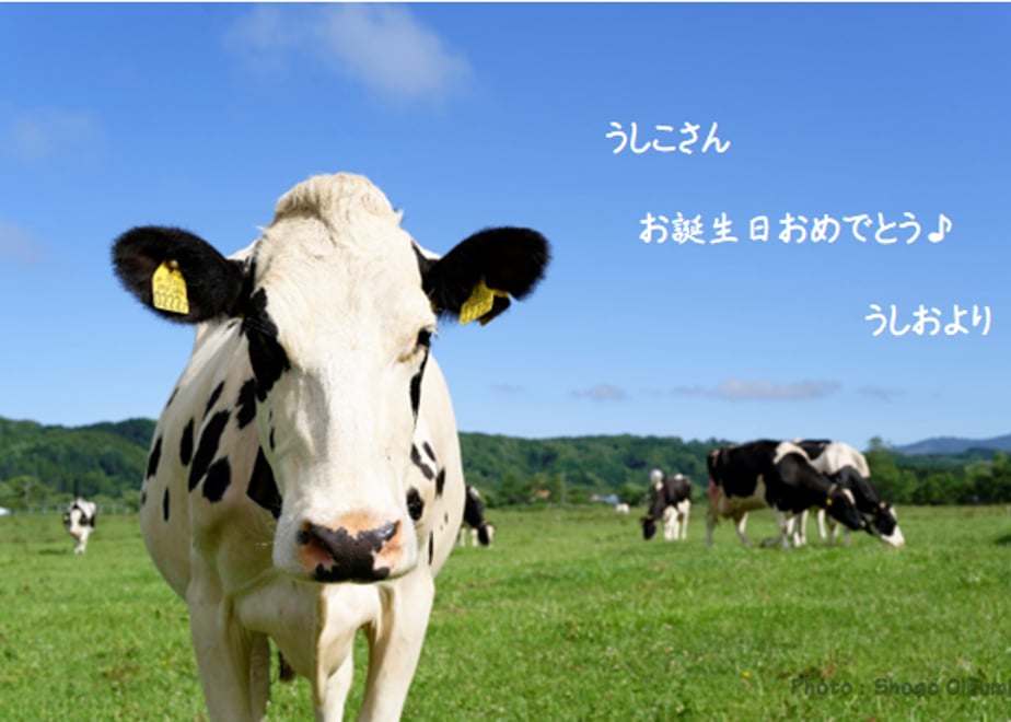 62a5596af405a11008ab2d84