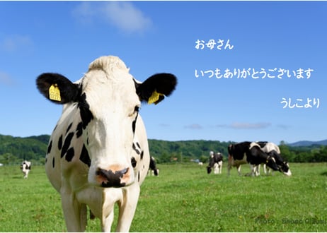 メッセージカード