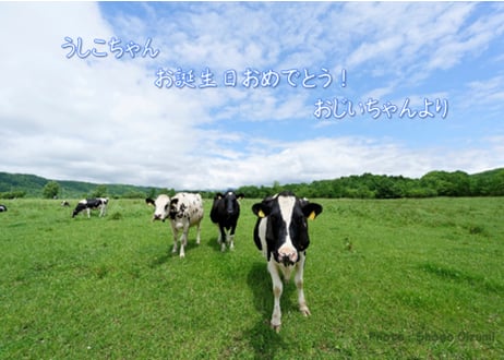メッセージカード