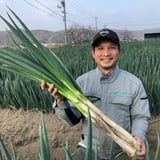 藤乃屋