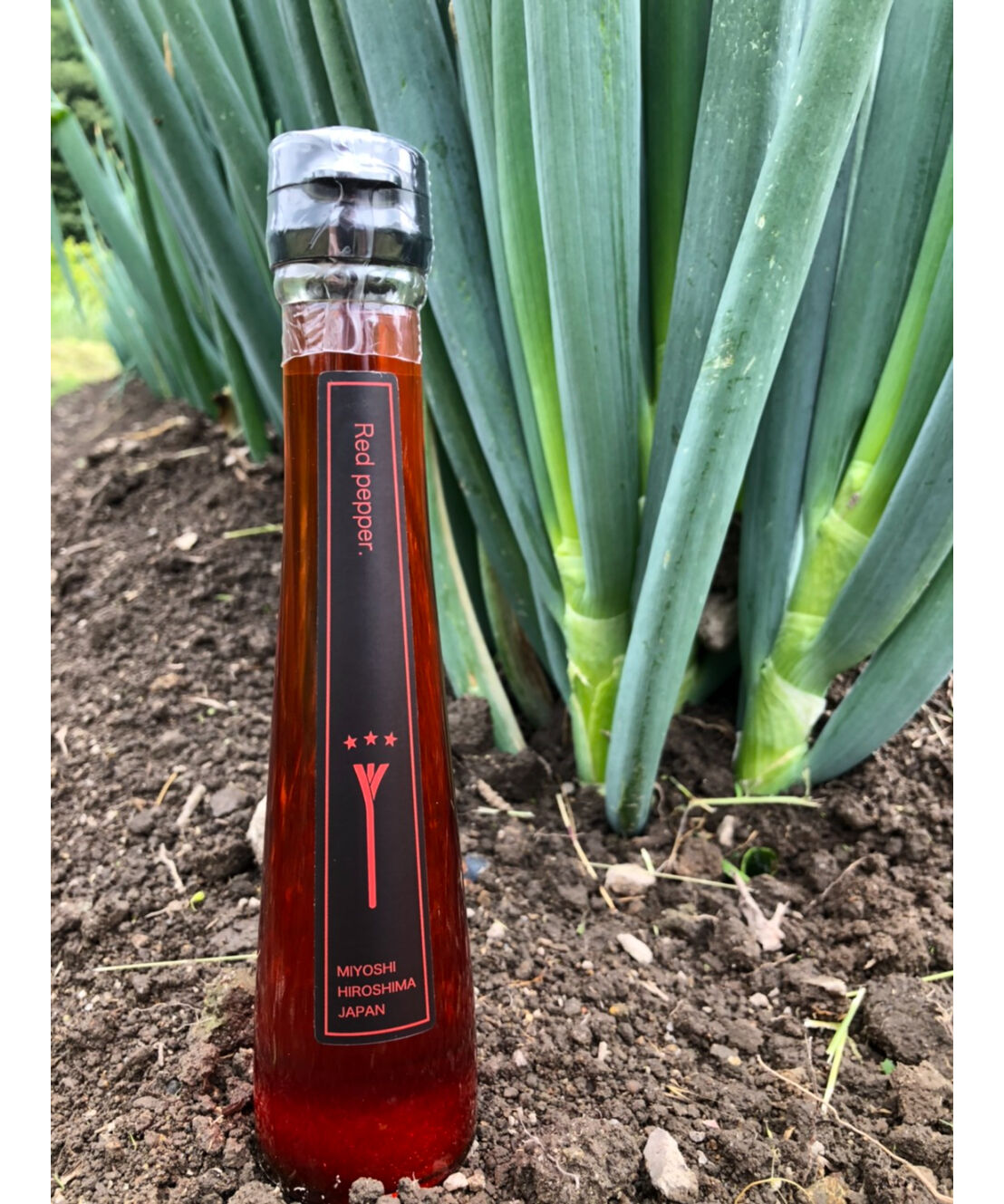 【激レア】Novelbright フラッグ 青春旗 黄、赤、青 3本セット Z旗(ゼットキ)とは？ 意味や使い方 - コトバンク